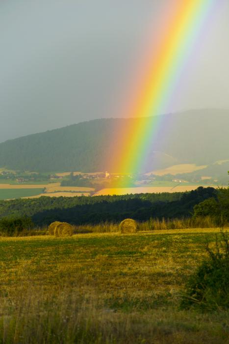 rainbow in the distance in the field