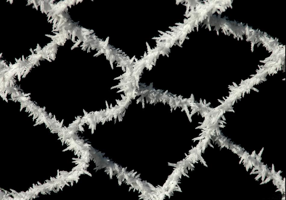Frost Fence Closing