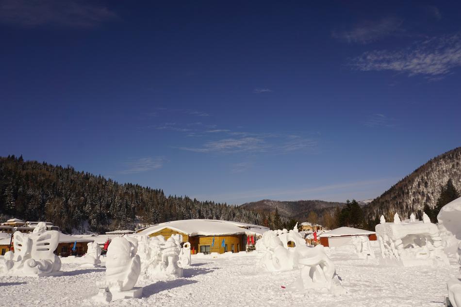 The Scenery Winter