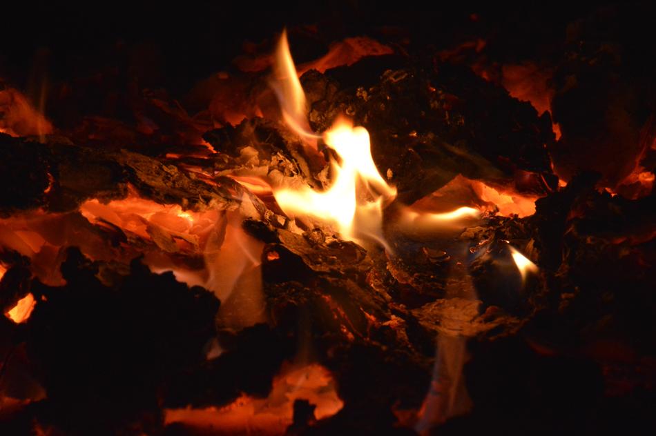 burning fire in the logs
