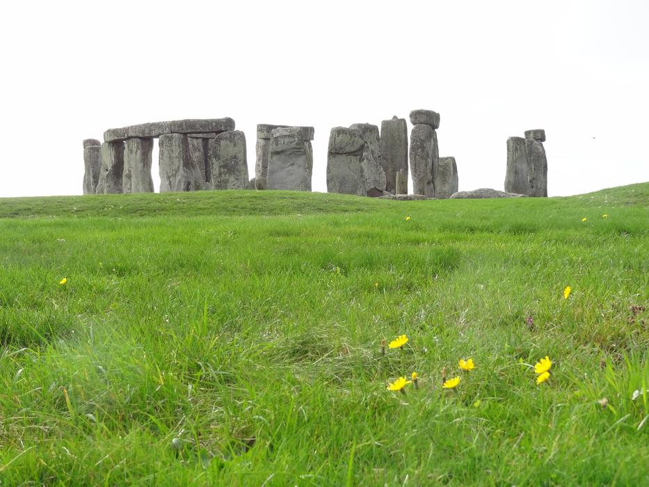 stonehenge in the meadow