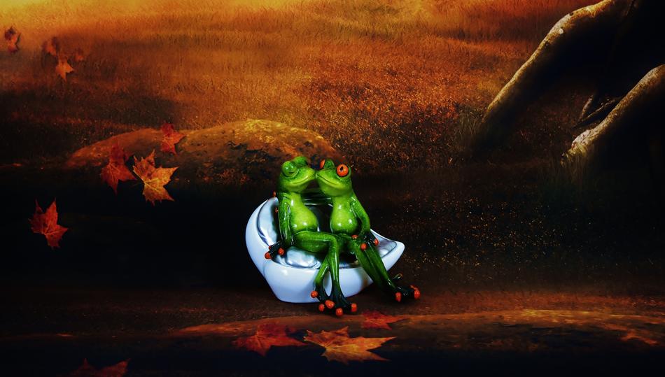 Frogs are a pair of colored
