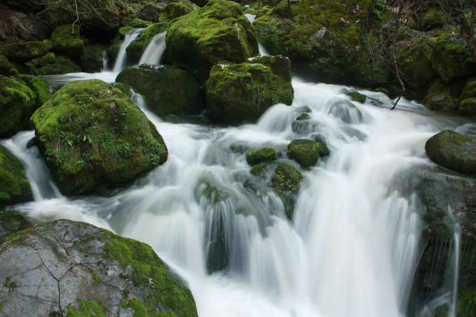 Waterfall Milk Watter Moss Long