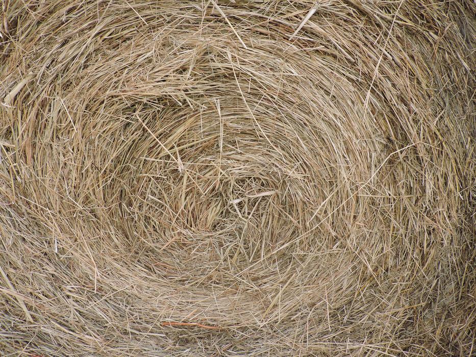 Hay Bale Farm Closeup