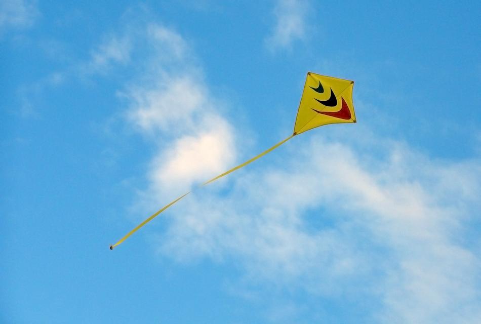 A kite against the sky