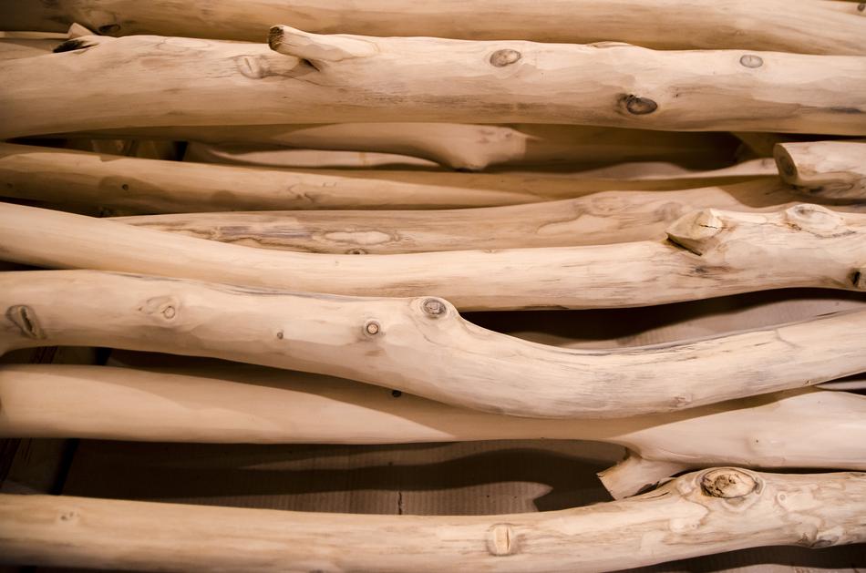 Wood Log Timber