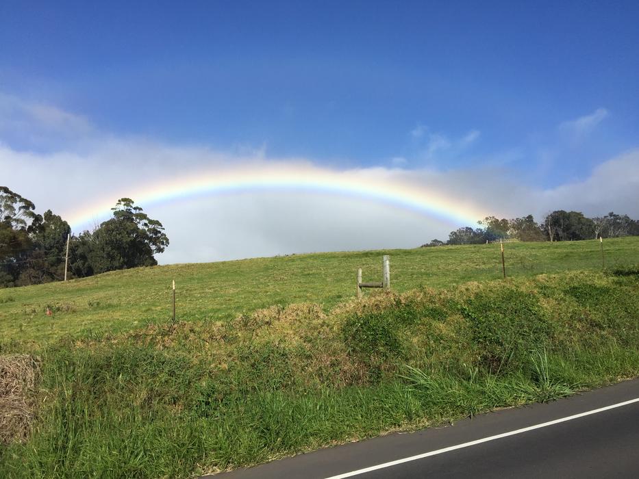 Maui Rainbow