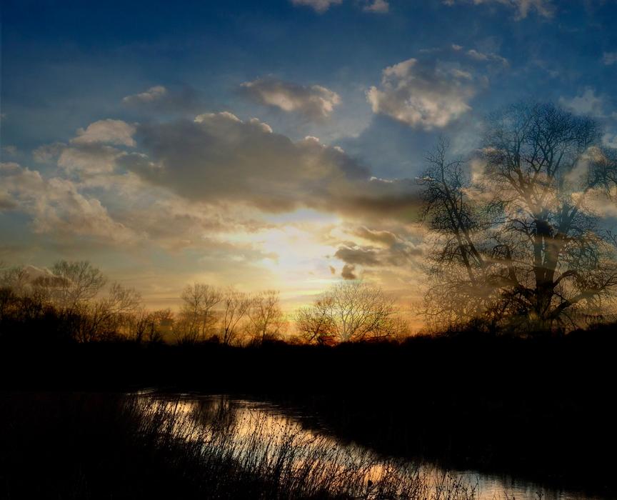 Sunlight Water Reflections