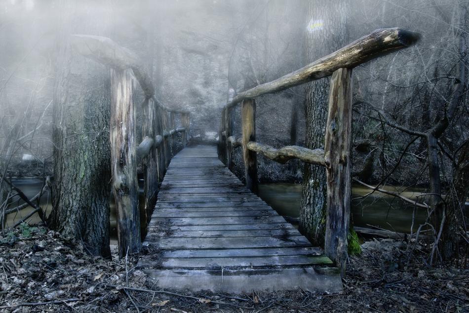 wet old bridge by the lake