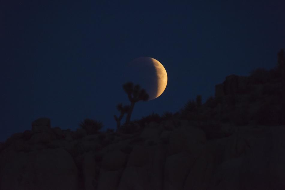 glorious night moon