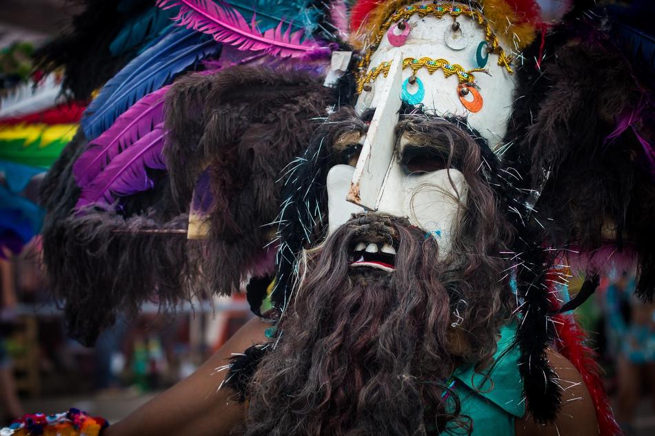 carnival beard mask