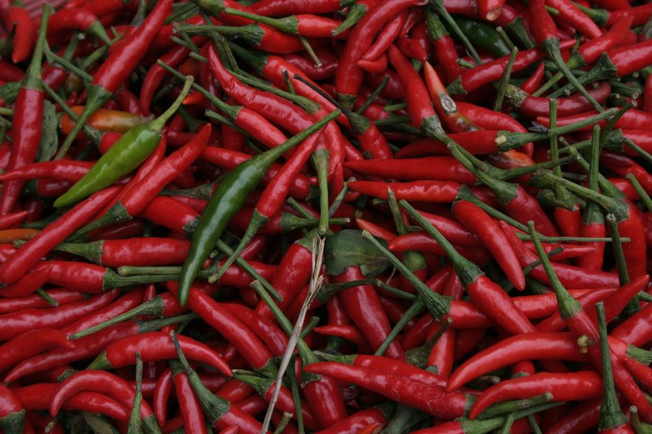 red peppers harvest a lot