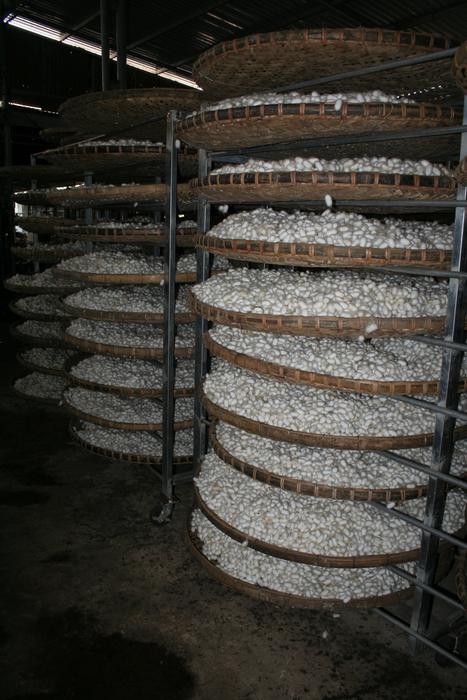 cellar stones