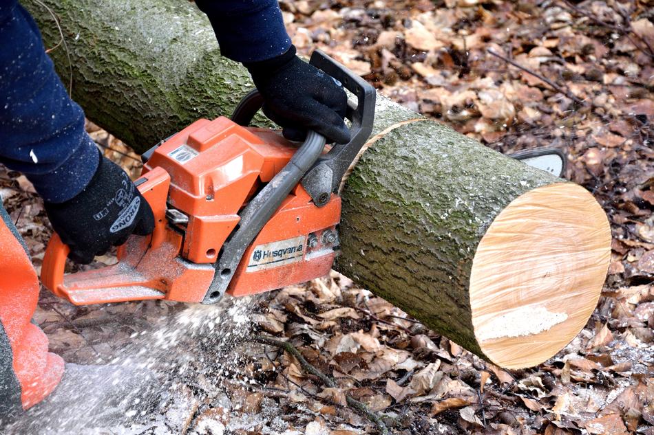 a man saws a log