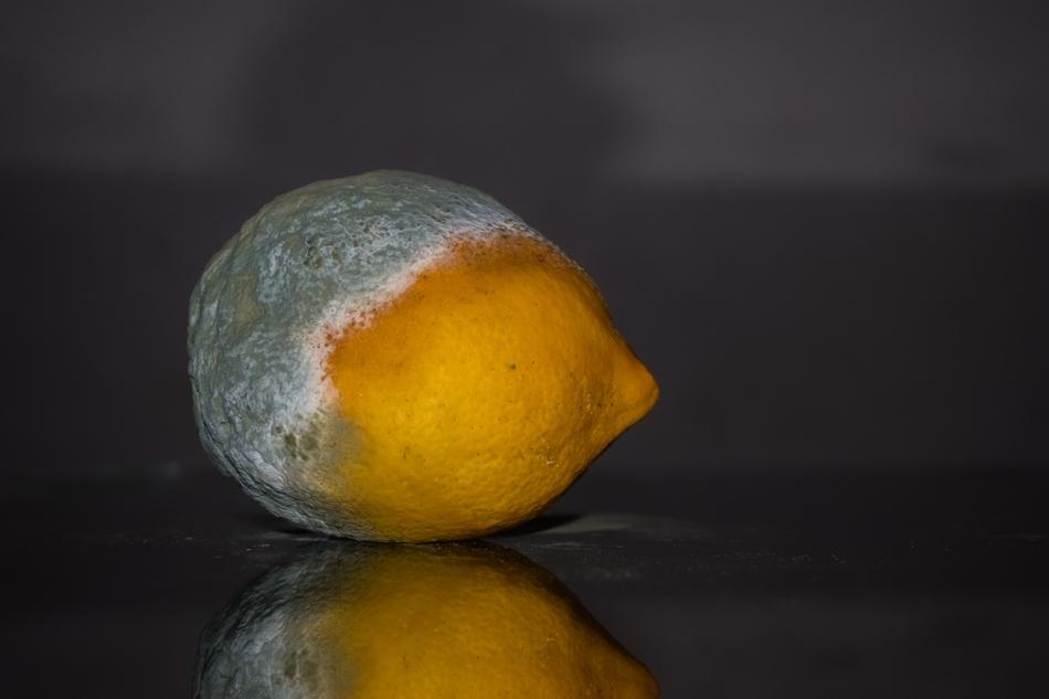 mold lemon table