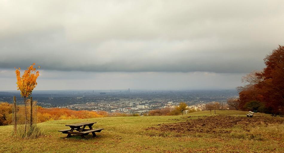 autumn landscape with benches