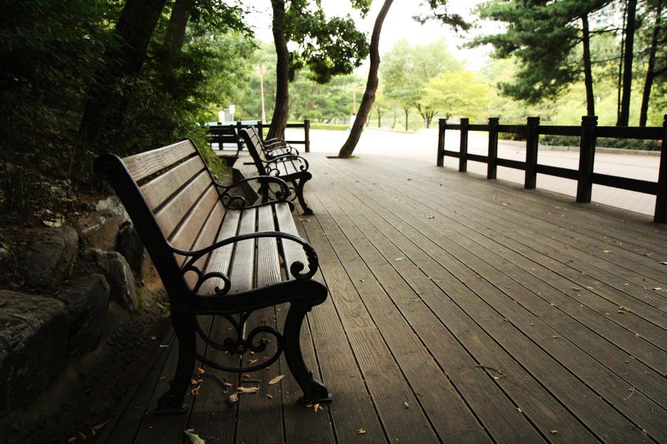 wooden park benches