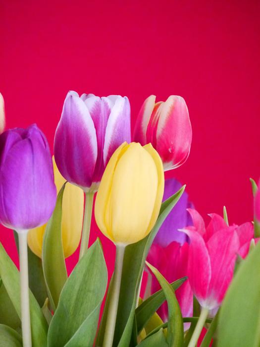 beautiful bouquet. Beautiful.