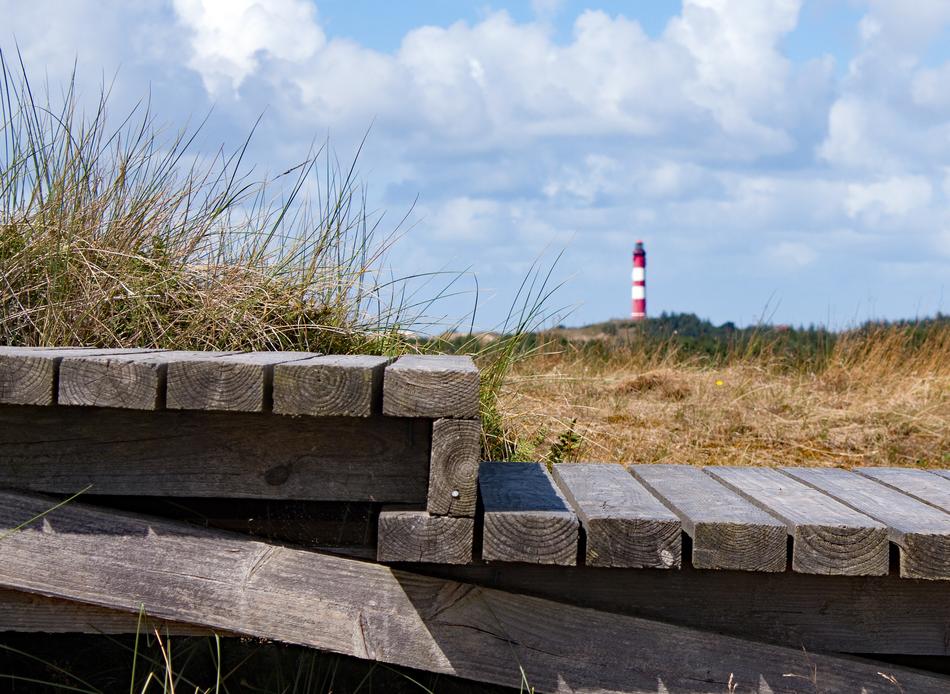wooden bridge overlooking the clouds