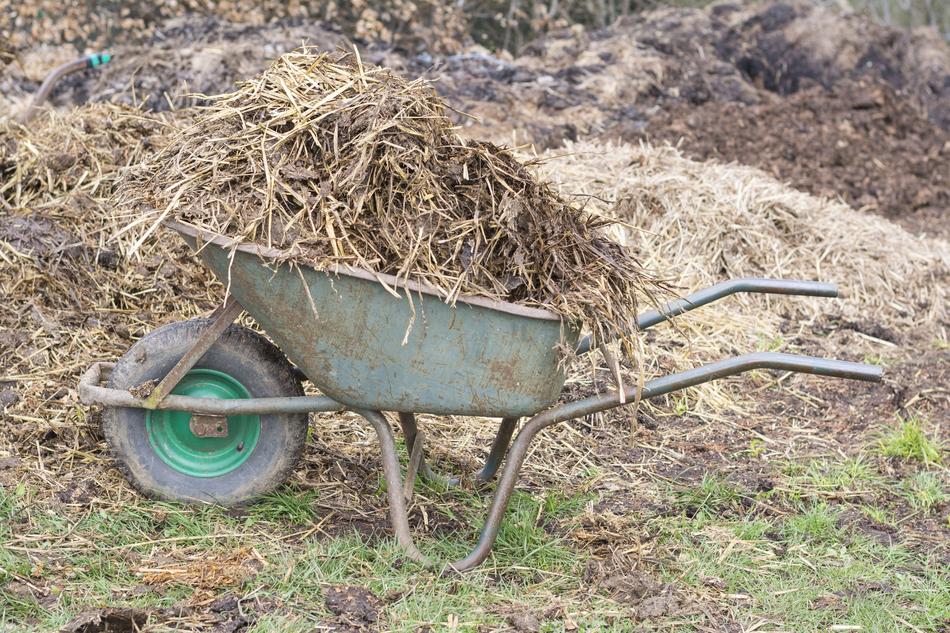 farm cart hay