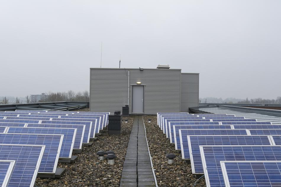solar lamps