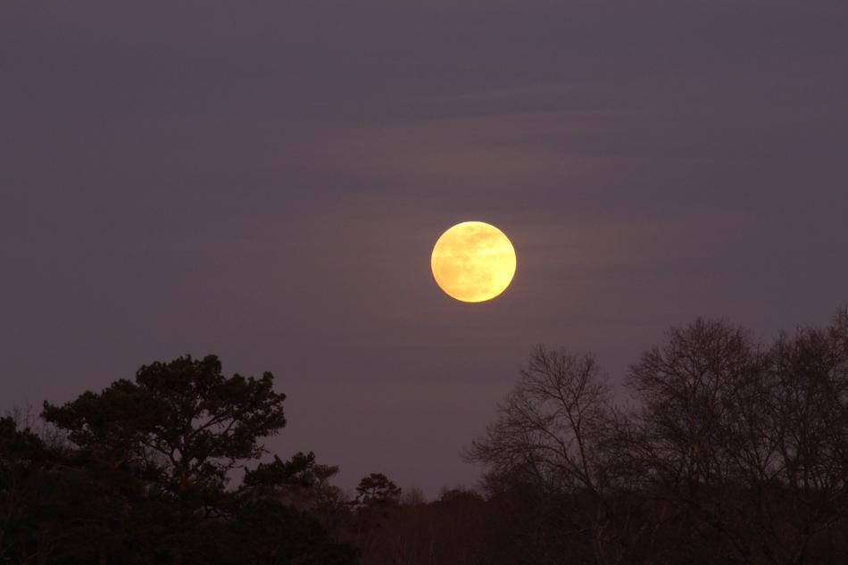 yellow moon in a blue sky