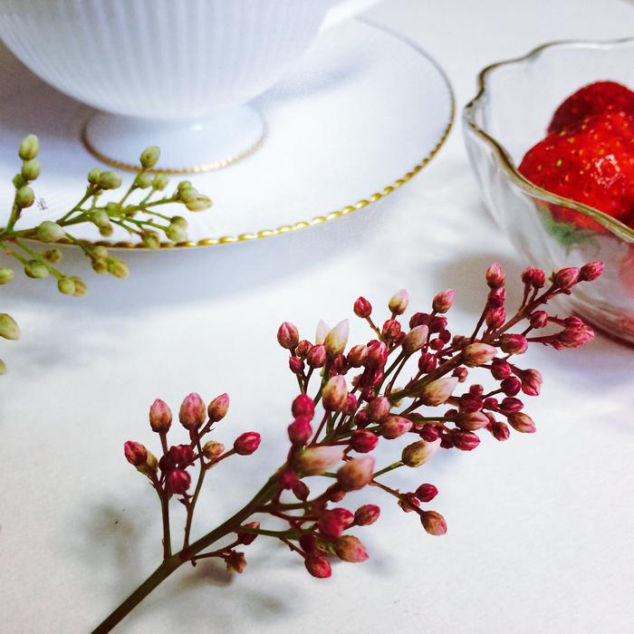 a tree branch on a white table