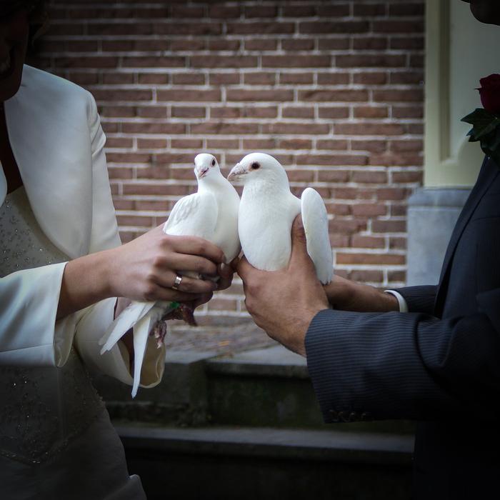 the couple with the doves is cute.