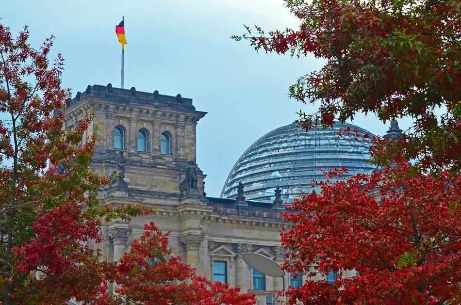 red leaves against the building