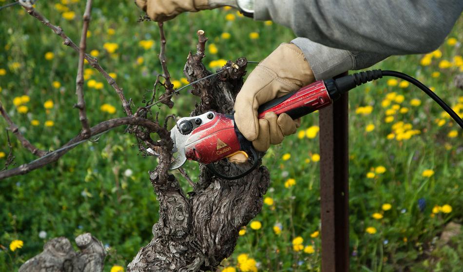 gardening manpower