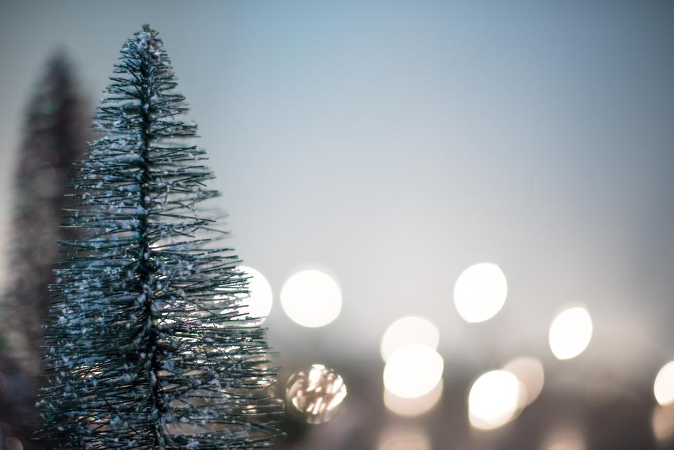 a small Christmas tree with snow