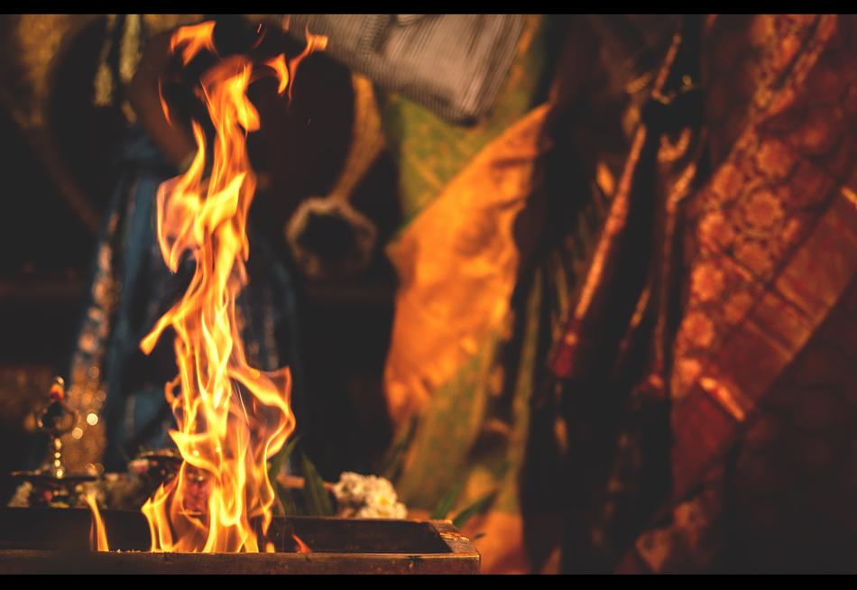 burning orange leaves