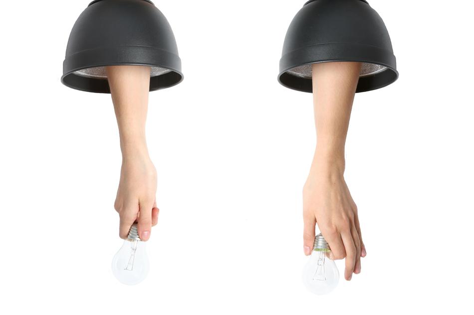 hands in lamps on a white background