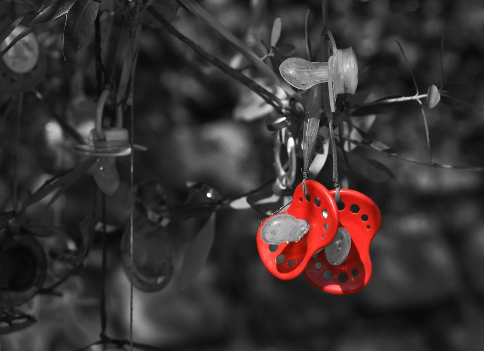 there are two nipples on the branch
