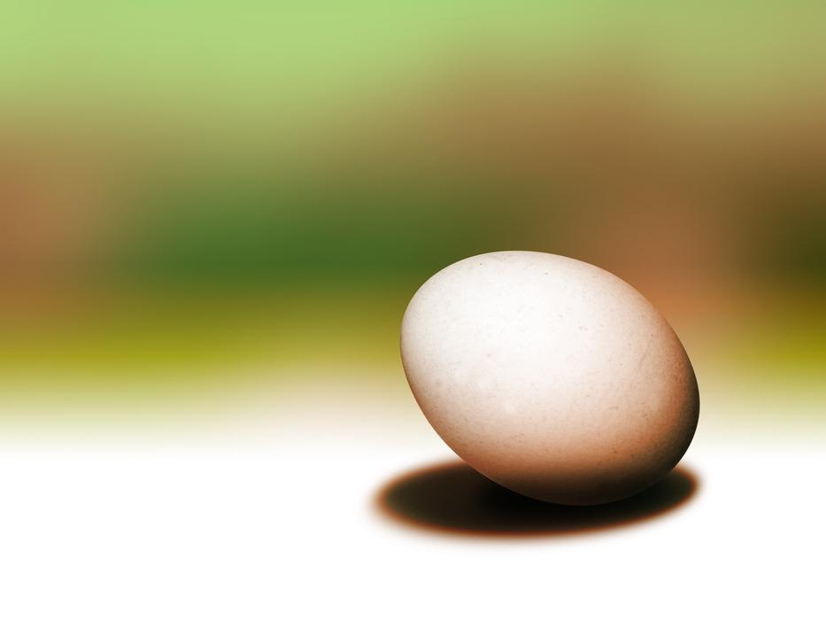 an egg with a shadow on the bottom