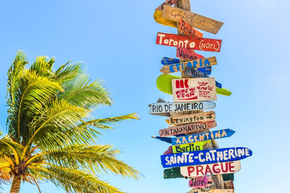 signs on the background of palm trees