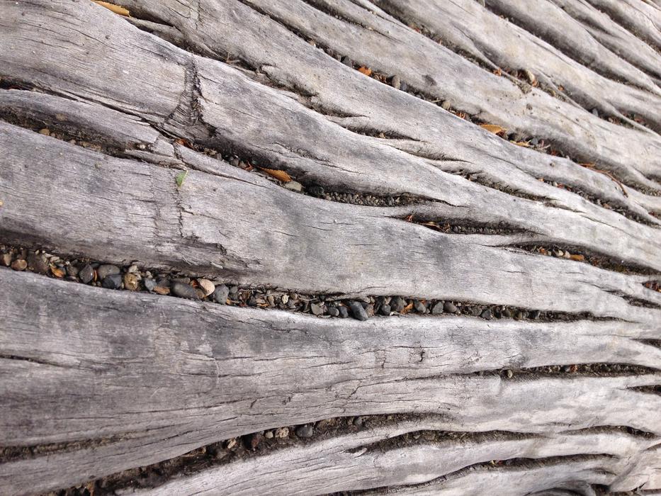 wooden white wall