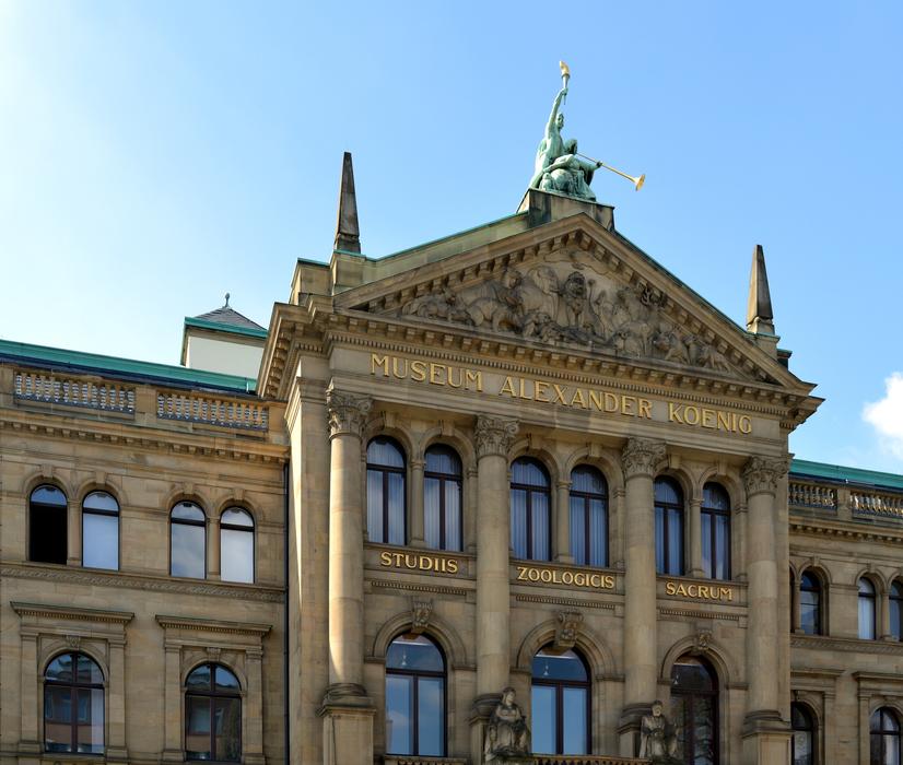 an architecturally beautiful building