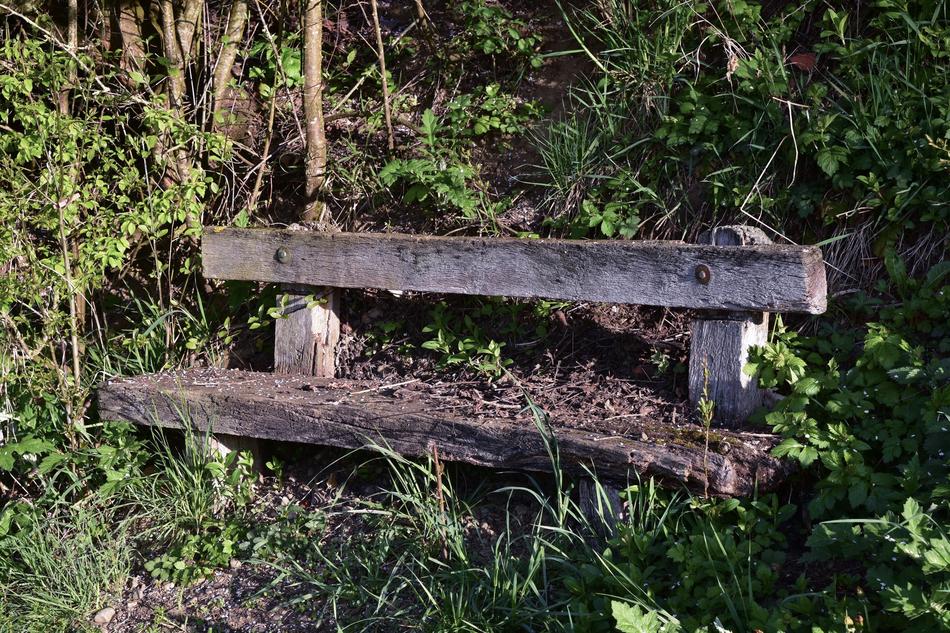 wooden bench on the grass