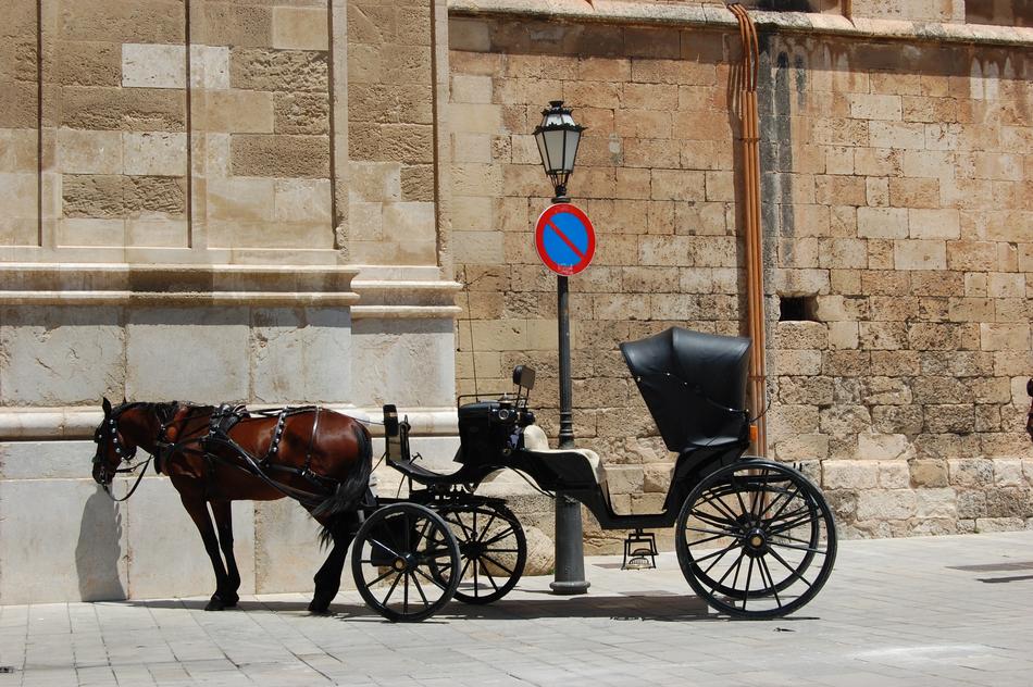 horse and carriage outside