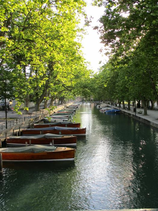 trees water boat