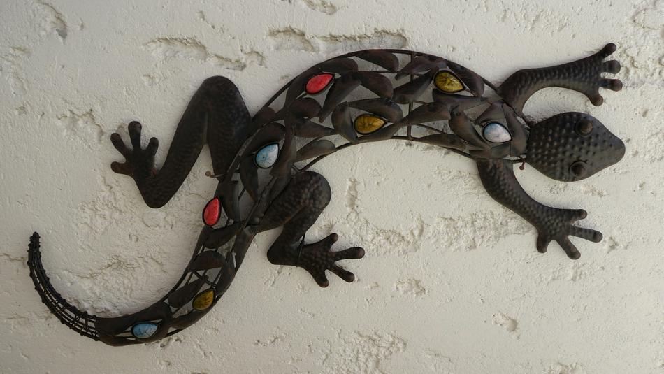 An iron lizard with stones