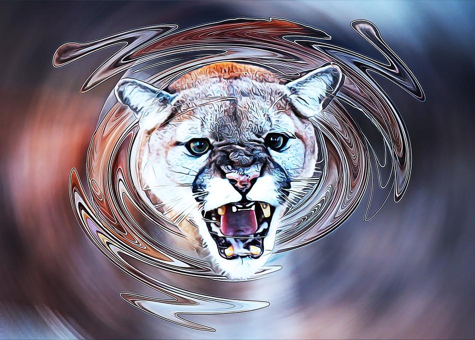 Design of the beautiful and colorful cougar with swirls