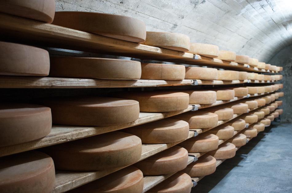 delicious cheese at the fair