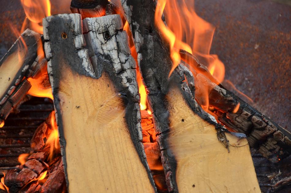 a fiery bonfire with trees