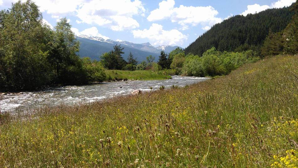 river on the grass with flowers