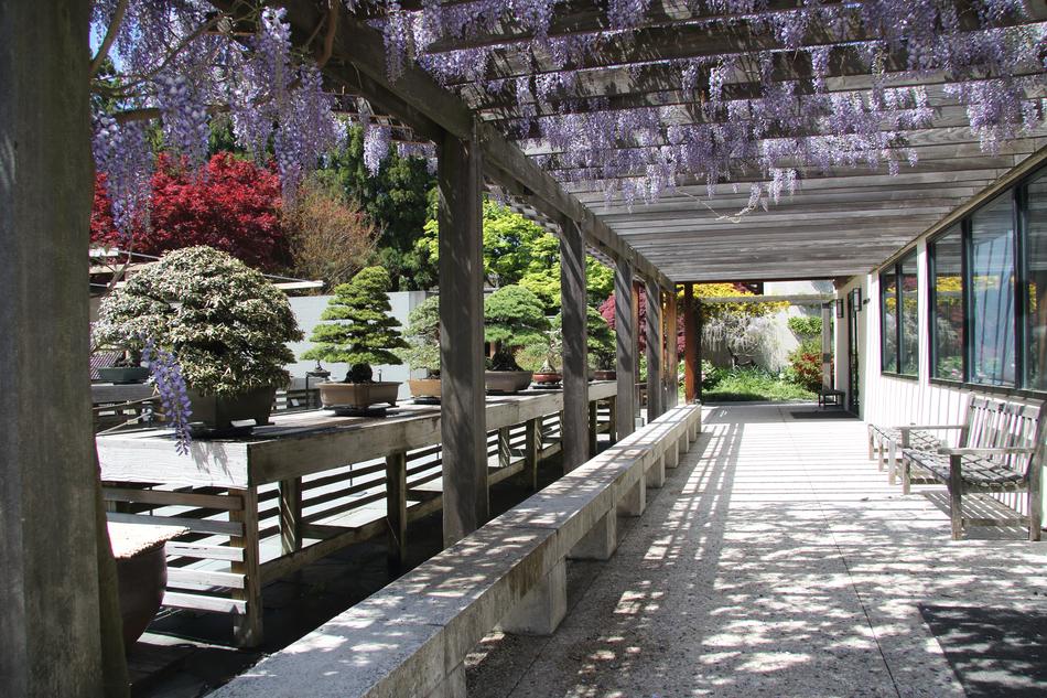 a cozy courtyard with benches