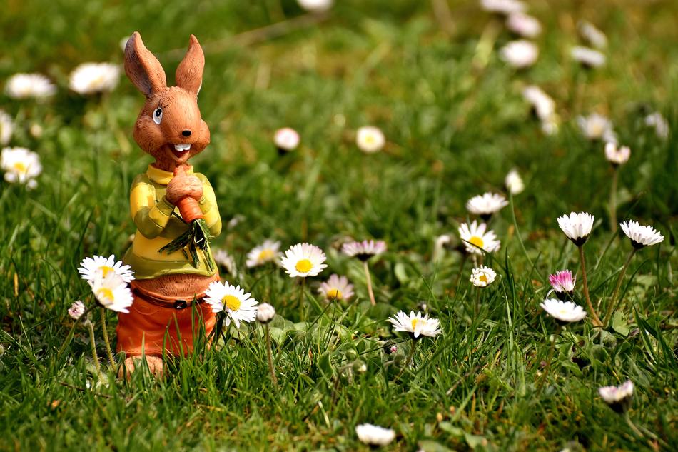 a small hare with grass and daisies