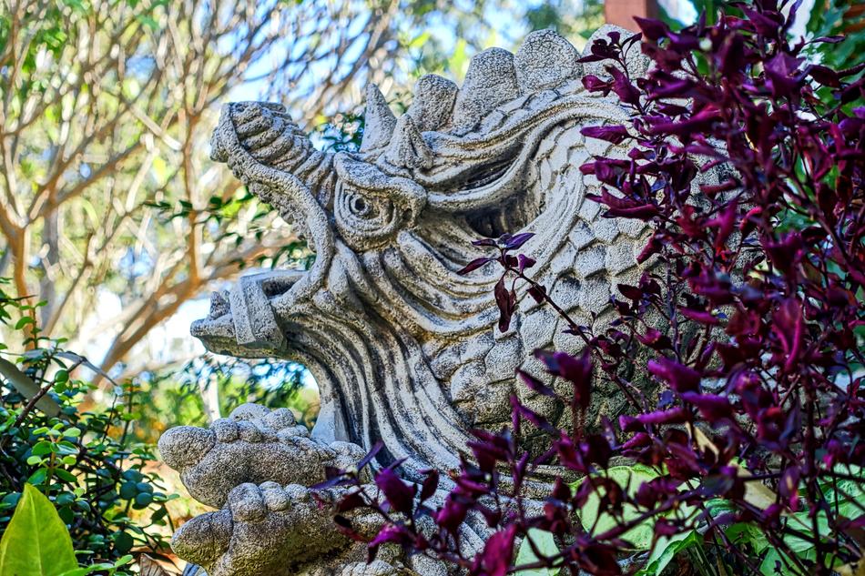Dragon stone flowers view