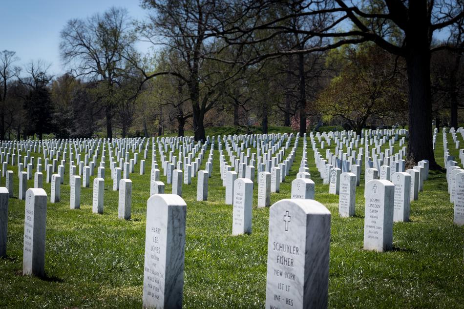 the white cemetery on the green grass